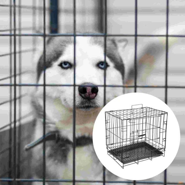 Canil Dobrável para Animais de Estimação: Gaiola Prática e Funcional para Treinamento de Gatos e Caixas de Transporte