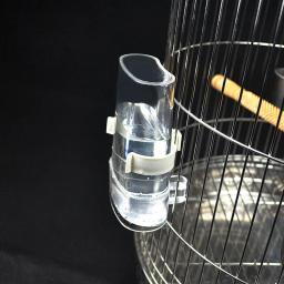 Alimentador Automático De Comida De Pássaro, distribuidor De água, Periquito Pássaro Waterer, Acessórios De Gaiola - Image 6