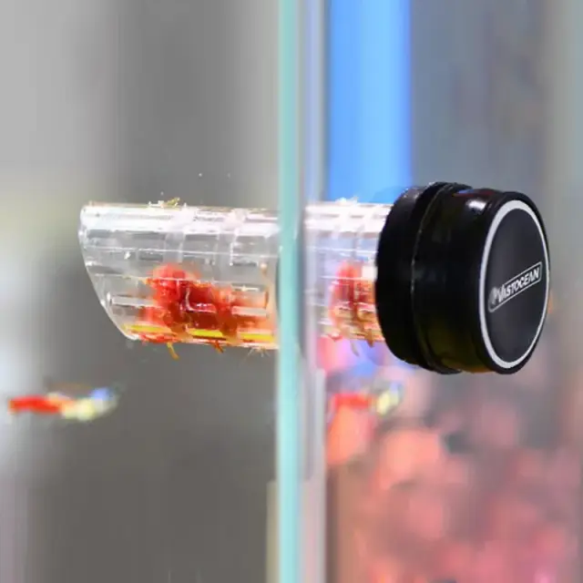 Grampo de Alimentação Vastocean-Forte para Aquário com Algas Magnéticas e Clip para Vegetais