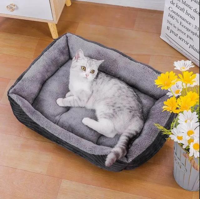Camas e Almofadas Confortáveis para Cães e Gatos: Sofás, Canis e Produtos Calmantes para Animais de Estimação