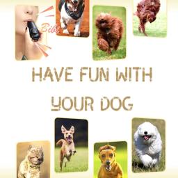 Apito profissional para treinamento de cães, efetivamente parar de latir, caça, passo de alta frequência, clicker de cachorro, obediência para animais de estimação - Image 6