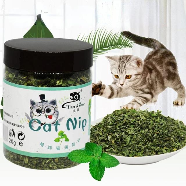 Brinquedo Interativo para Gatos 100% Orgânico com Catnip e Sabor de Hortelã - Alta Qualidade e Engraçado