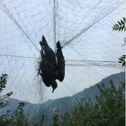 1pc anti pássaro-rede de prevenção de aves rede malha para o jardim da árvore da planta de colheita de frutas 15x3 m - Image 2