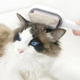 Cabelo longo removedor escova para gato e cão, silicone pet grooming pente, limpeza e tanque de água, pet produto acessórios, novo - Image 3