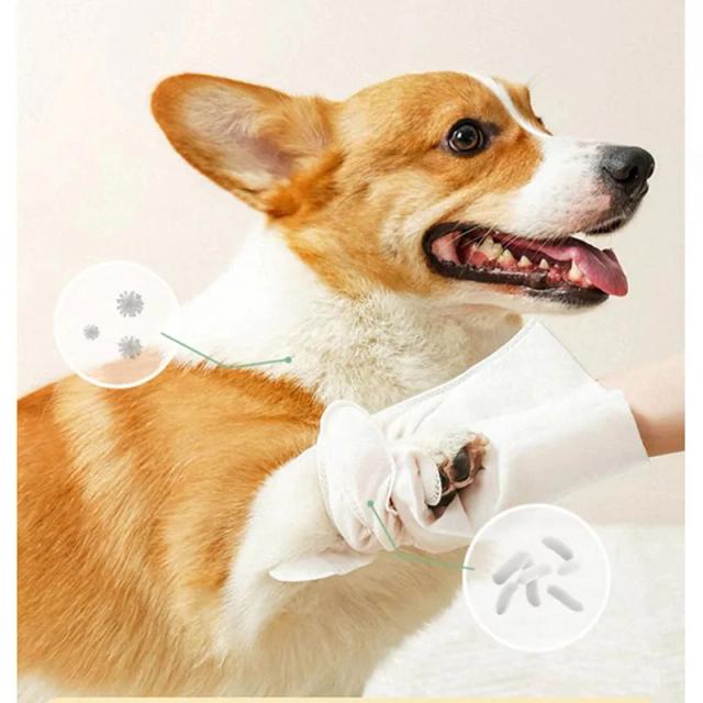 Banhos Essenciais para Cães e Gatos com Luva Segura e Acessórios Ricos em Extratos para Limpeza Eficiente