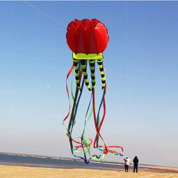 Jellyfish Flying Nylon Line para adultos, pipas voadoras gigantes, equipamentos de windsurf, frete grátis, 8m - Image 5