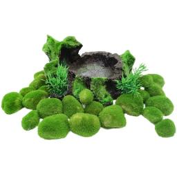 Bolas de musgo Marimo para aquário vivo, algas vegetais, peixe e camarão, ornamento de tanque, simulação artificial, planta verde, 2cm-4cm - Image 2