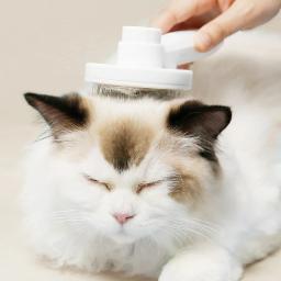 Cat Pentear Depilação Pet Pente Mágico Um Clique Flutuante Depilação Cão Gato Universal Limpeza Beleza Suprimentos - Image 3