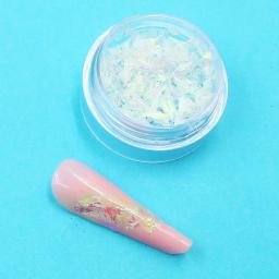 Flake Asa De Fada para encapsulamento de unhas em gel - Image 3