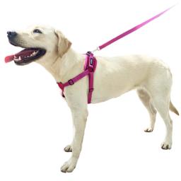Ajustável Nylon Pet Chest Harness, Puppy Dog Collar, Pet Acessórios Suprimentos, Terno de luxo - Image 5