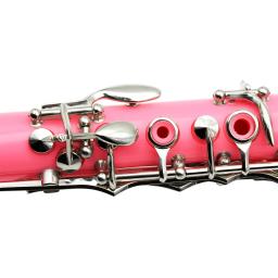 SLADE-Clarinete Portátil com 6 Anéis, Instrumentos Profissionais de Sopros, Clarinetto Rosa, Bb, 17 Chaves - Image 5