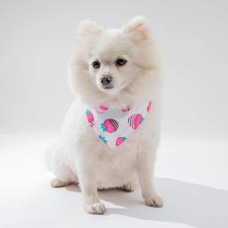 S/m/l cão bandanas fruta impressão animal de estimação triângulo cachecol saliva toalha lavável laços colar gato cão grande acessórios do cão lenço - Image 1