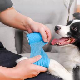 Bandagem elástica auto-adesiva para Pet, Protetor de capa não tecida, Fita esportiva retrátil ao ar livre, Bandagem auto-adesiva para cachorro - Image 1