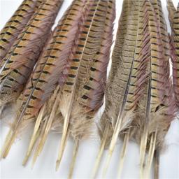 Penas naturais de feisão para artesanato, decoração de penas grandes, extensões de roupas na cabeça, plumas de carnaval, 10-75cm - Image 6