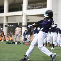 Bat de beisebol grosso para treinamento esportivo ao ar livre, autodefesa portátil, liga de alumínio, uso doméstico juvenil, 51cm - Image 2