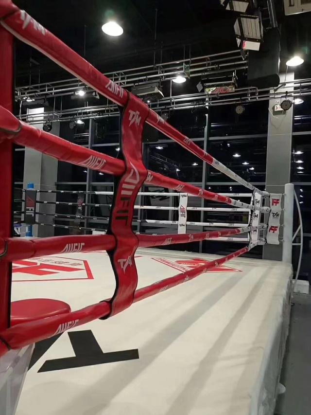 Anel de Boxe de Chão Personalizado para Lutas e Competição de MMA com Mesa Sanda e Corda Externa