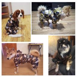 Casual cão de estimação casaco de chuva roupas de cachorro gato capa de chuva jaqueta impermeável ao ar livre capa de chuva vestuário macacão suprimentos para animais de estimação chien - Image 5