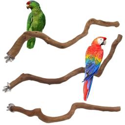 Natural Parrot Stand Bird Pole Stick, garfo de moagem de pata, escalada de periquito, galhos em pé, brinquedos - Image 1