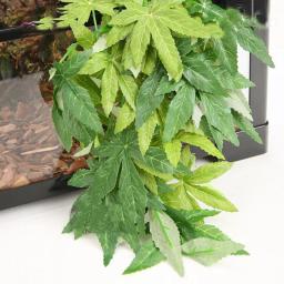 Plantas Répteis com Ventosa, Decoração de Plantas para Anfíbios, Lagarto, Serpente, Videira Escalada, Pet Tank, Decoração do Terrário - Image 1