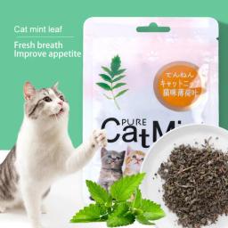 Pó de folhas de hortelã gato, saudável, não tóxico, natural, cuidar do estômago, criar suprimentos para gatos, alta qualidade, 5g, 1 pacote - Image 6