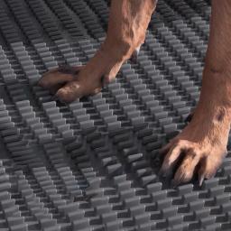 Reutilizável Tear-Proof Dog WC Training Pad, Pet Supplies, manter as patas, seco, pequeno, médio, cães grandes, Dropship - Image 4