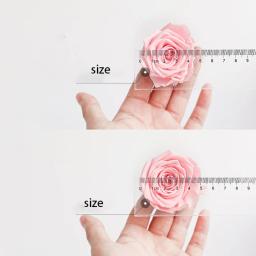 Secas Preservadas Fresh Rose Flower Heads, Teddy Bear, Handmade, DIY, Arranjo De Flores Eternas, Presente, 4-5cm, 8Pcs por Caixa - Image 6