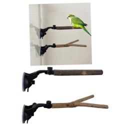 papagaio poleiro gaiola acessórios poleiros suporte poleiro ventosa brinquedo pássaro - Image 3