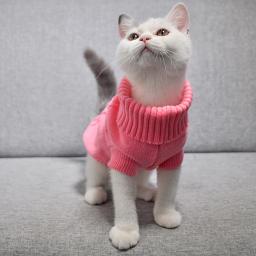 Camisola de inverno para animais, Suéteres de algodão para meninas, Roupas Pug para cães e gatos, Casaco para cachorros - Image 2