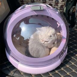 Cápsula espacial multifuncional portátil para animais de estimação, gato e cão transportador, cão e gato saco - Image 2