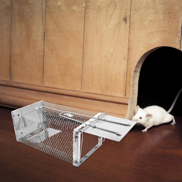 Armadilha para Captura de Ratos e Roedores: Eficaz e Segura para Ratos, Hamsters e Esquilos