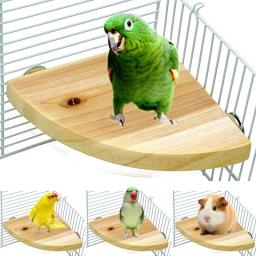 Suporte de madeira em forma de ventilador para gaiola, Acessórios para papagaios, Perch para animais pequenos Chinchilla Squirrel Hamster, Stand Board - Image 2