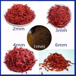 Máquina de corte de pimenta seca, 1mm 2mm, 220v, elétrica, folhas de chá, cortador de folhas de lótus, fatiador - Image 5