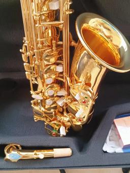 Profissional Alto Eb saxofone com caso acessórios, bronze ouro, E Flat Sax desempenho, instrumento musical, 802 - Image 3