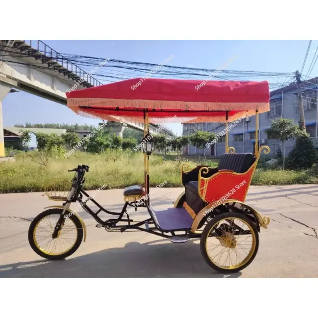 Triciclo Elétrico de Três Rodas - Leveza e Potência para Seus Deslocamentos