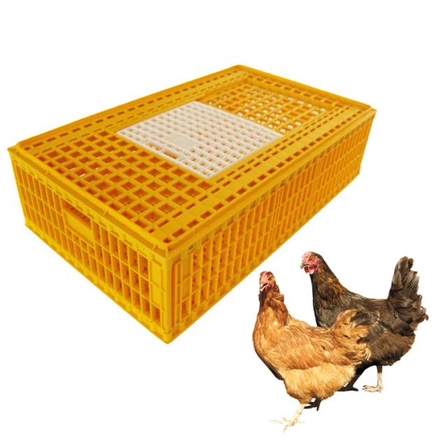 Caixa de Transporte Resistente para Aves Domésticas e Galinhas, Ideal para Adultos, Tamanho Grande e de Alta Capacidade
