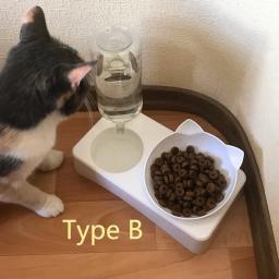 Tigela de gato dupla antiderrapante com suporte, Alimentação para animais de estimação, Tigelas de água para gatos e cães, Alimentador de cães - Image 4