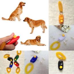 Pulseira para treinamento e agilidade de animais de estimação, 1 peça - Image 6