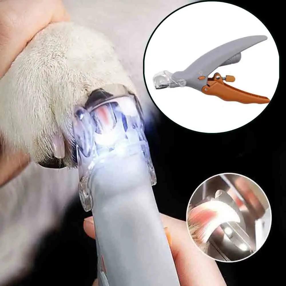 Pet aparador de unhas clipper cão cortador de unhas moedores para gato cão clipper com luz led pet paw sharpener tesoura unha - Image 1