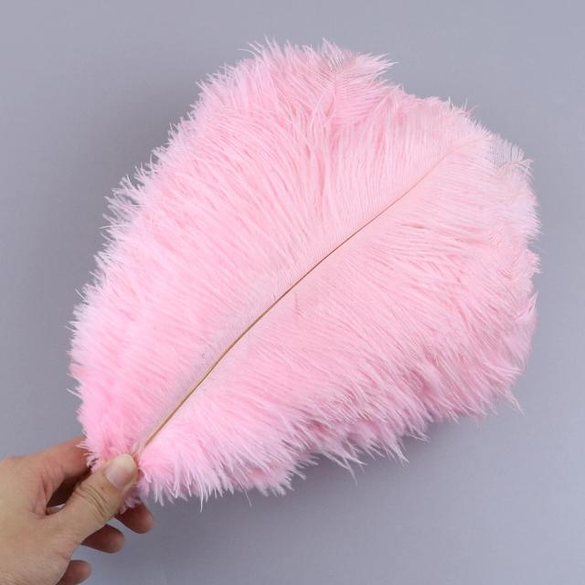 Peças de Avestruz Pretas Naturais para Artesanato e Decoração de Casamento - Tamanhos Variados de 15 a 35 cm