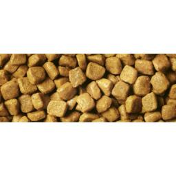 Pro Plano de alimento seco para gatos com a digestão sensível e exigente para o alimento, com a turquia, o Pacote, o 3 kg x 4 pcs. - Image 3