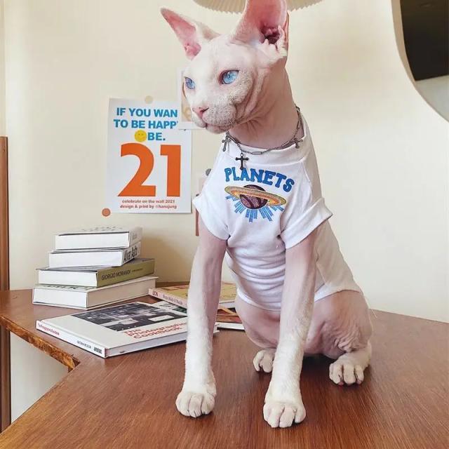 Colete de Algodão Hipoalergênico com Estampa de Nave Espacial para Gatos Devon Rex e Sphynx - Tamanhos XS a XXL