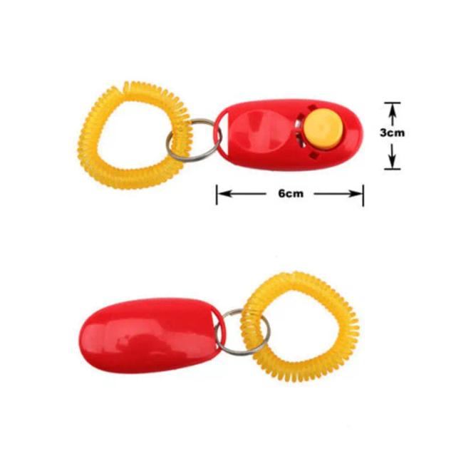 Pulseira única para aprimorar treinamento e agilidade de pets