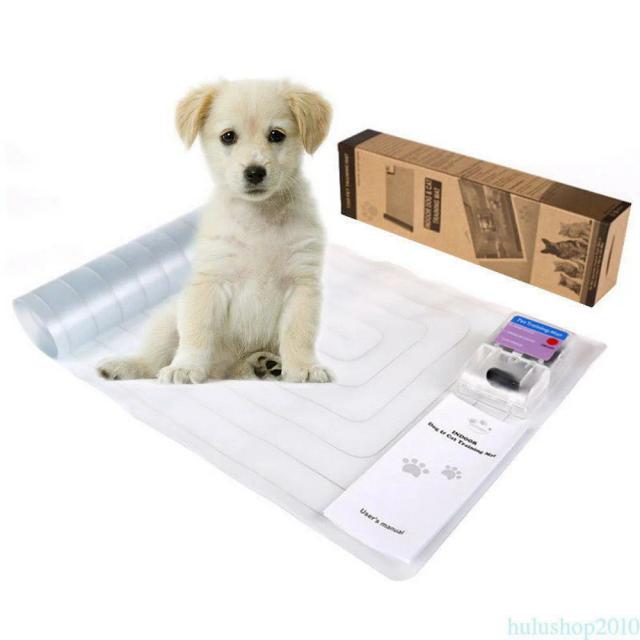 Esteira Eletrônica 12x6 para Treinamento Seguro de Cães e Gatos com Controle de Choque BNF