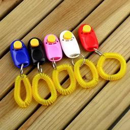 Pulseira para treinamento e agilidade de animais de estimação, 1 peça - Image 3