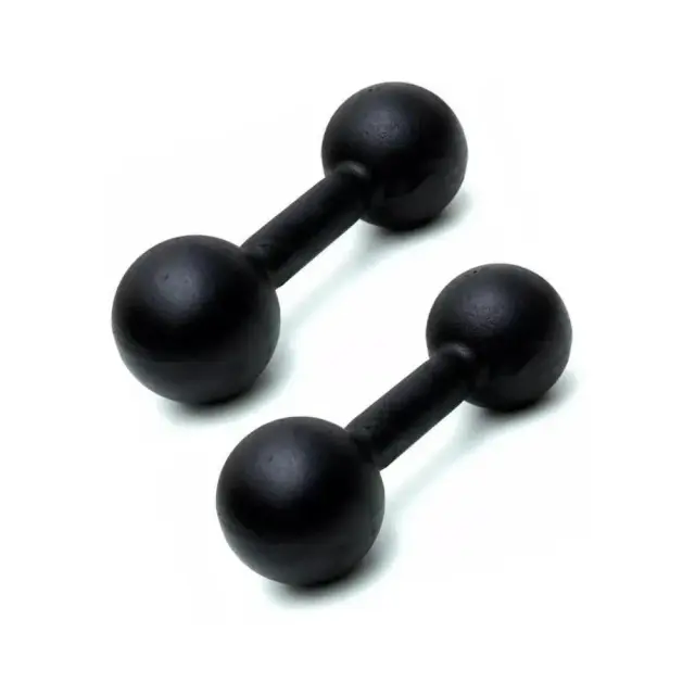 Halteres de Ferro Fundido Pintados de 1 Kg para Treino Eficiente