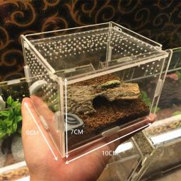 Caixa de acrílico transparente Terrário, Terrário para Répteis e anfíbios, Grilo, Tartaruga, Aranha, Caracol, Terrário para Terrário, Terrário para Terrário, Lagartixa - Image 2