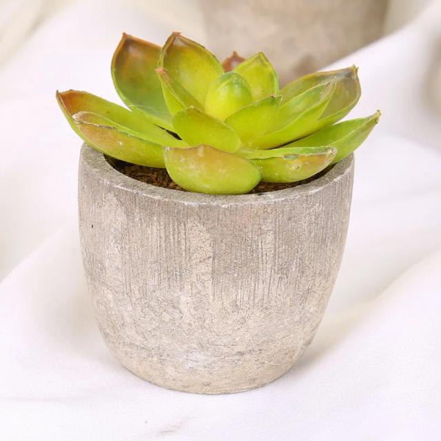 Plantas Artificiais Decorativas Mini Bonsai Suculento Plástico 6.5cm