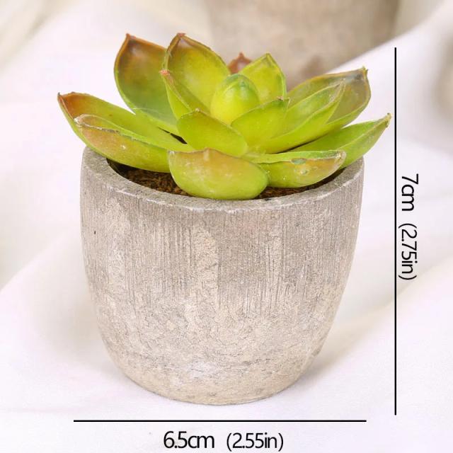 Mini Plantas Suculentas Artificiais Evergreen - Enfeite de Mesa e Decoração de Casa