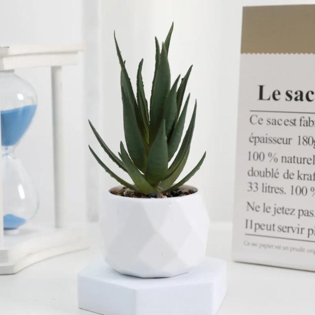 Plantas Suculentas Artificiais Mini Simulação Evergreen Plástico 7-14cm