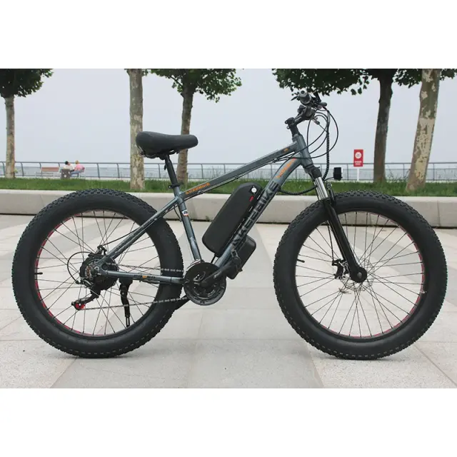 Bicicleta Elétrica de Montanha Fat Bike 700W 26 Polegadas